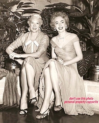 panty hose wikipedia
